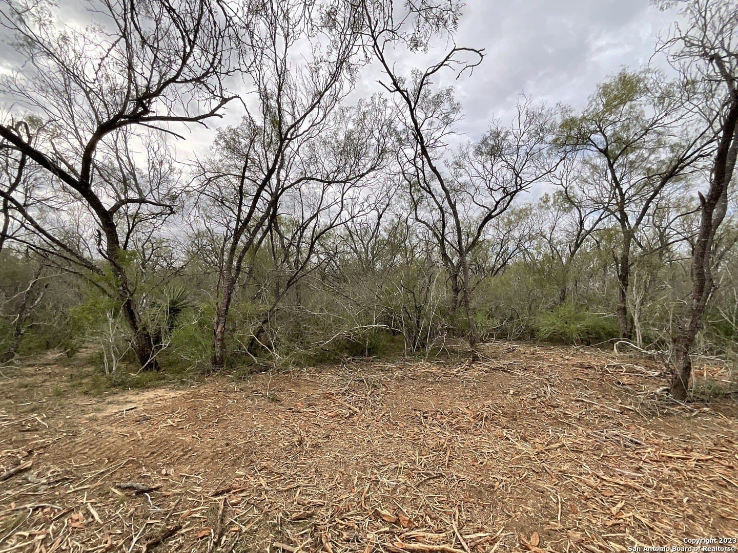 1.34 acres in Atascosa County - photo 13