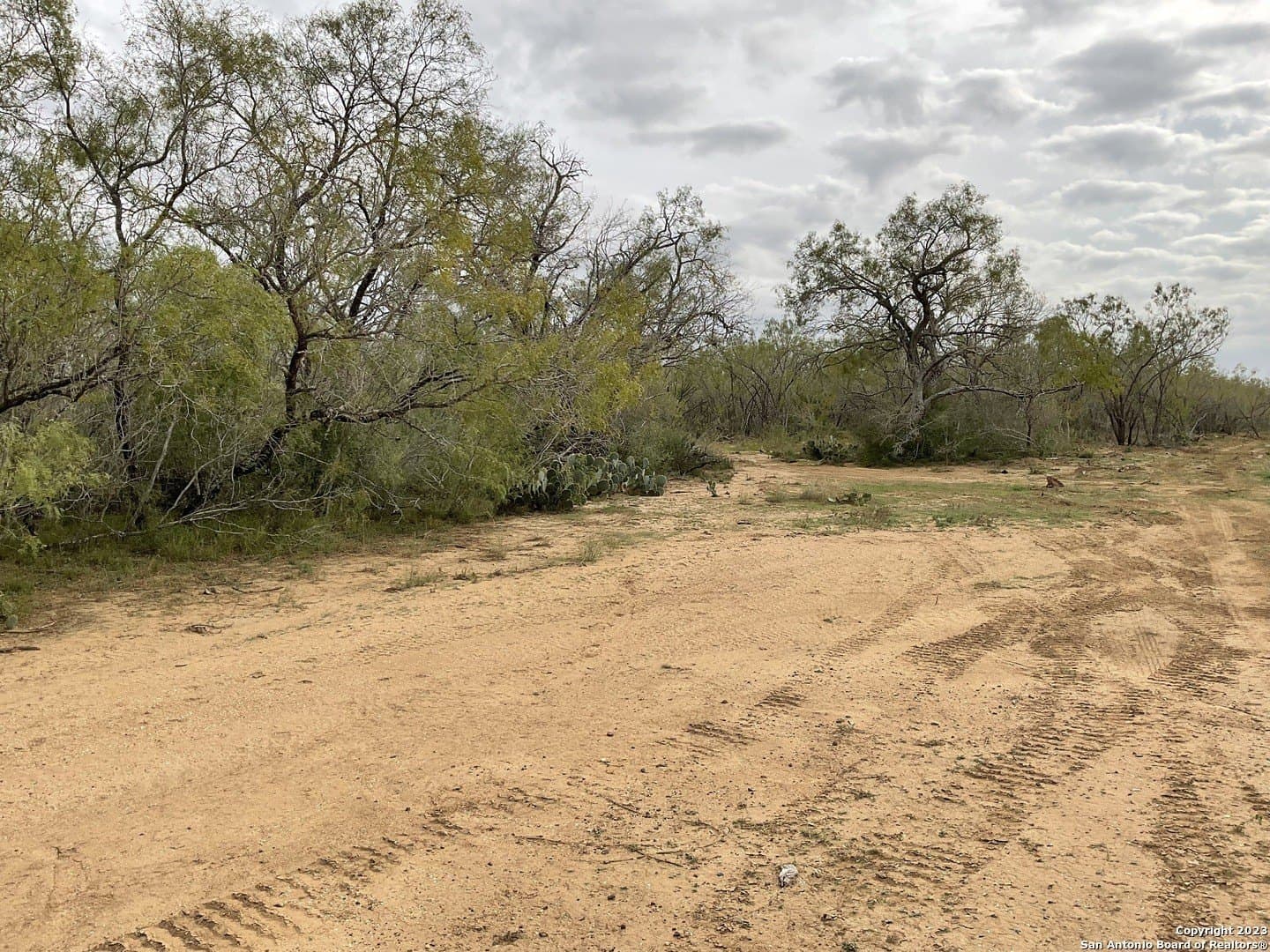 1.34 acres in Atascosa County - photo 20