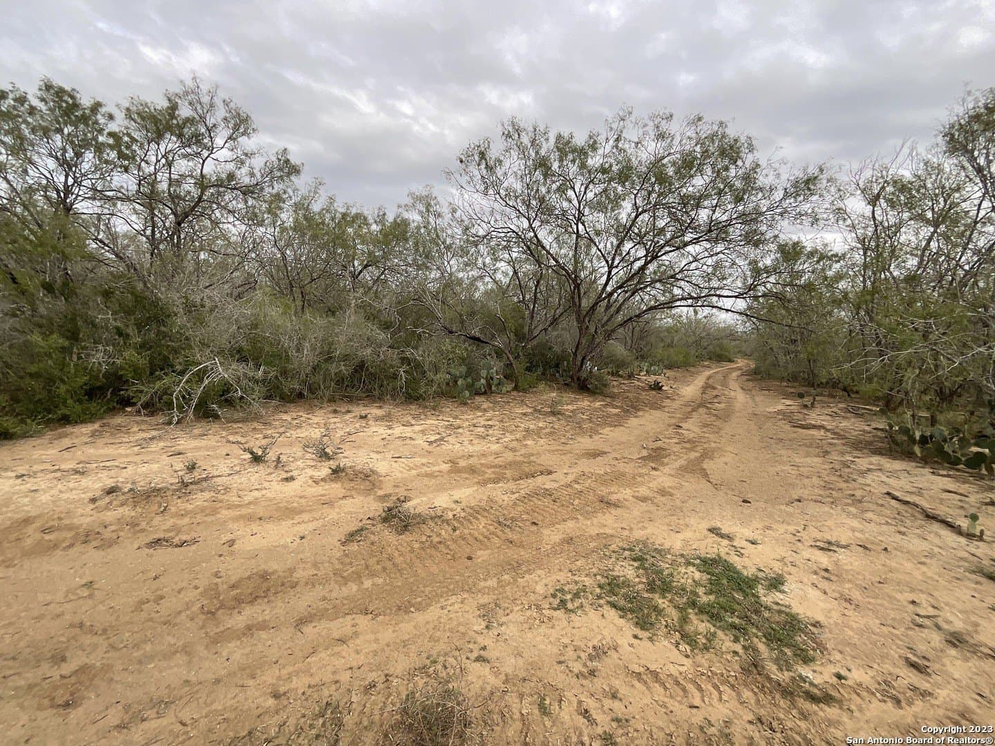 1.34 acres in Atascosa County - photo 7