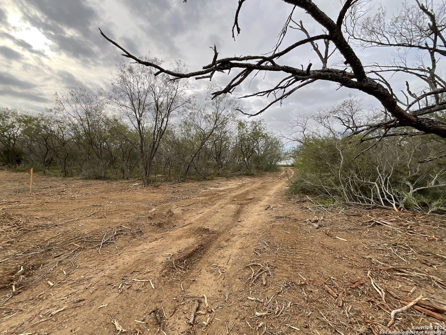 1.34 acres in Atascosa County - photo 15