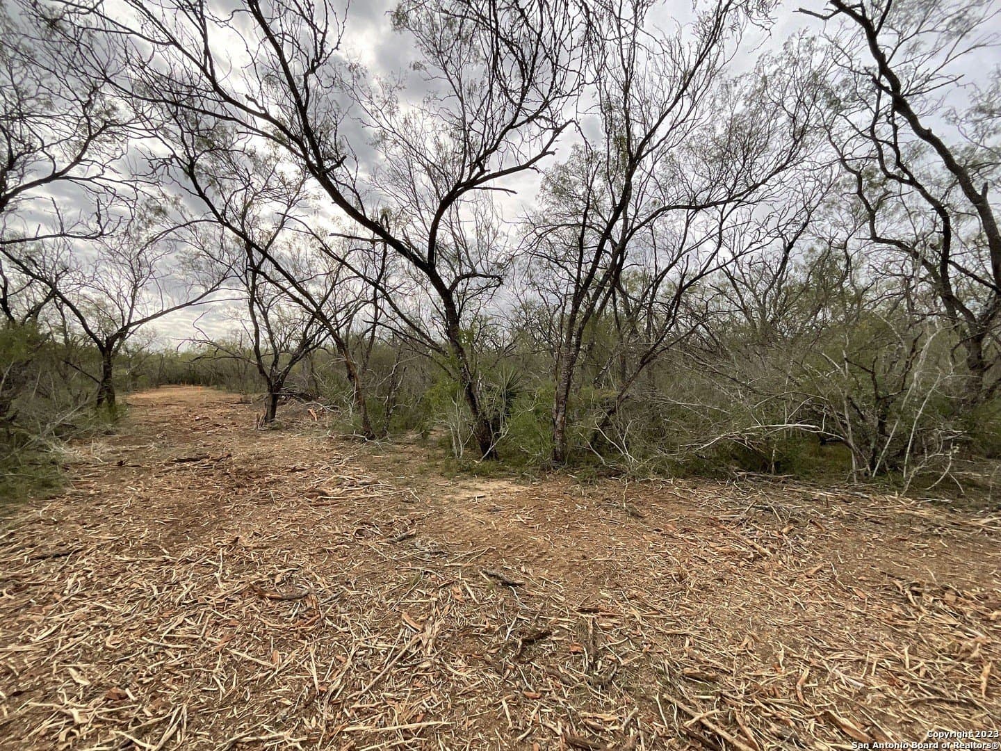 1.34 acres in Atascosa County - photo 12