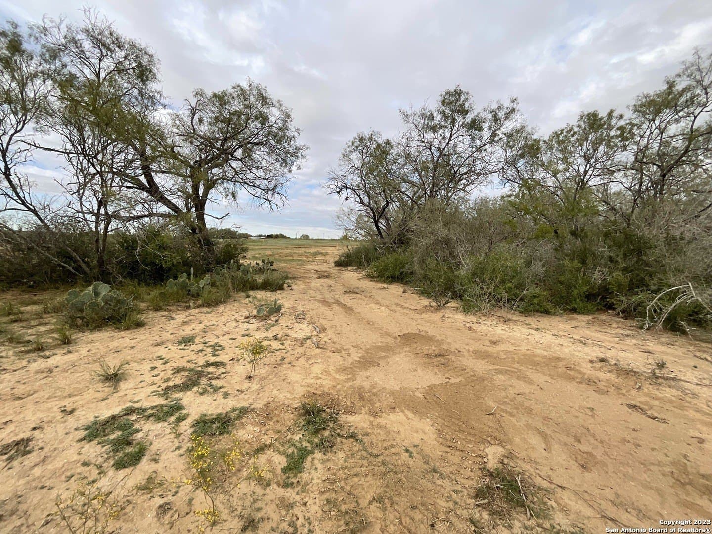 1.34 acres in Atascosa County - photo 8
