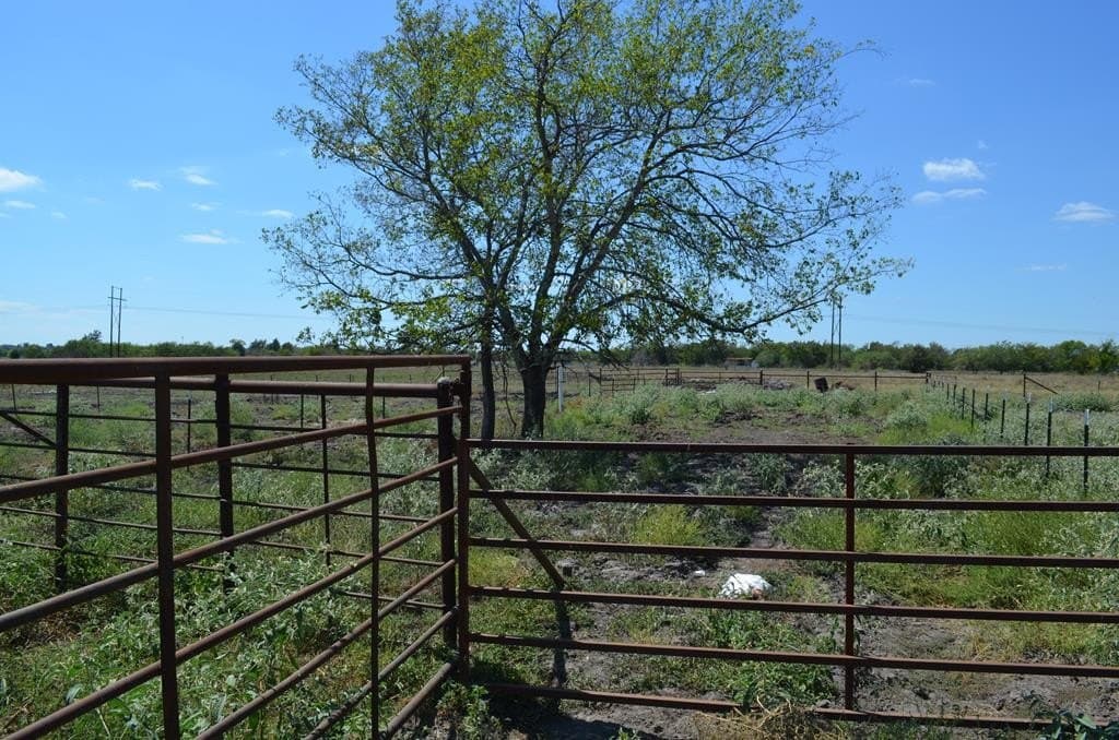 14.98 acres in Kaufman County - photo 23