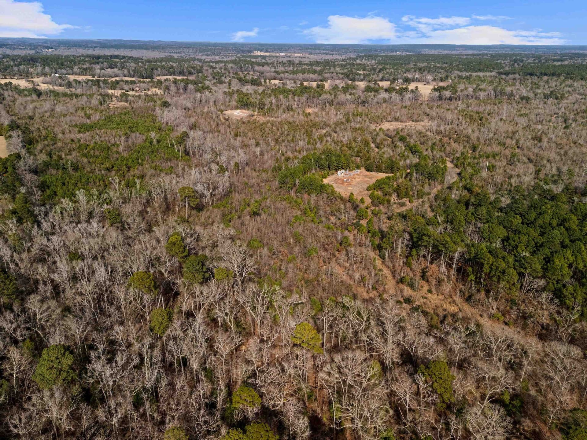 224.43 acres in Gregg County - photo 50