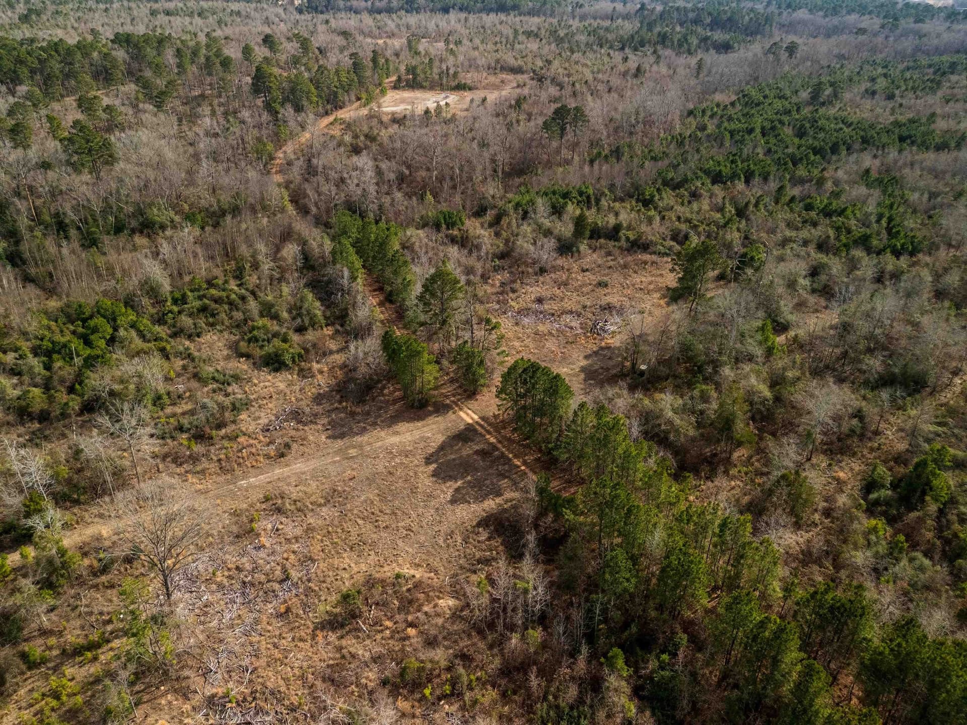 224.43 acres in Gregg County - photo 48