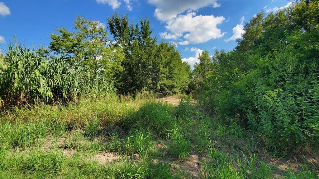 23.79 acres in Navarro County - photo 36