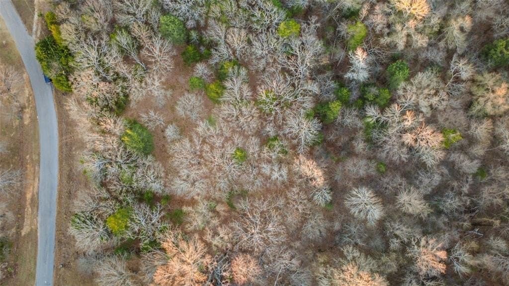 0.71 acres in Rains County - photo 23