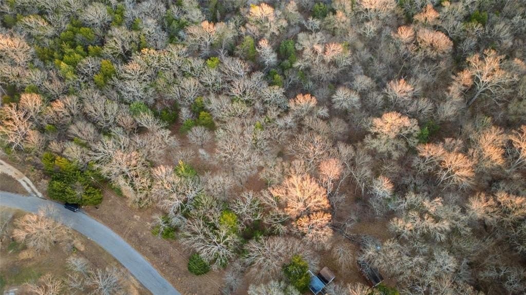 0.71 acres in Rains County - photo 24