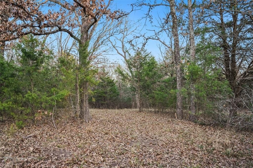 0.71 acres in Rains County - photo 5
