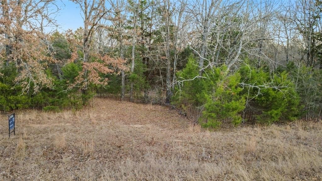 0.71 acres in Rains County - photo 3