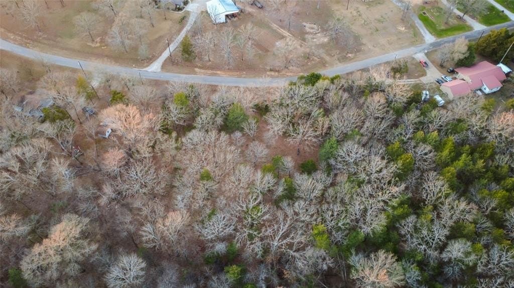 0.71 acres in Rains County - photo 25
