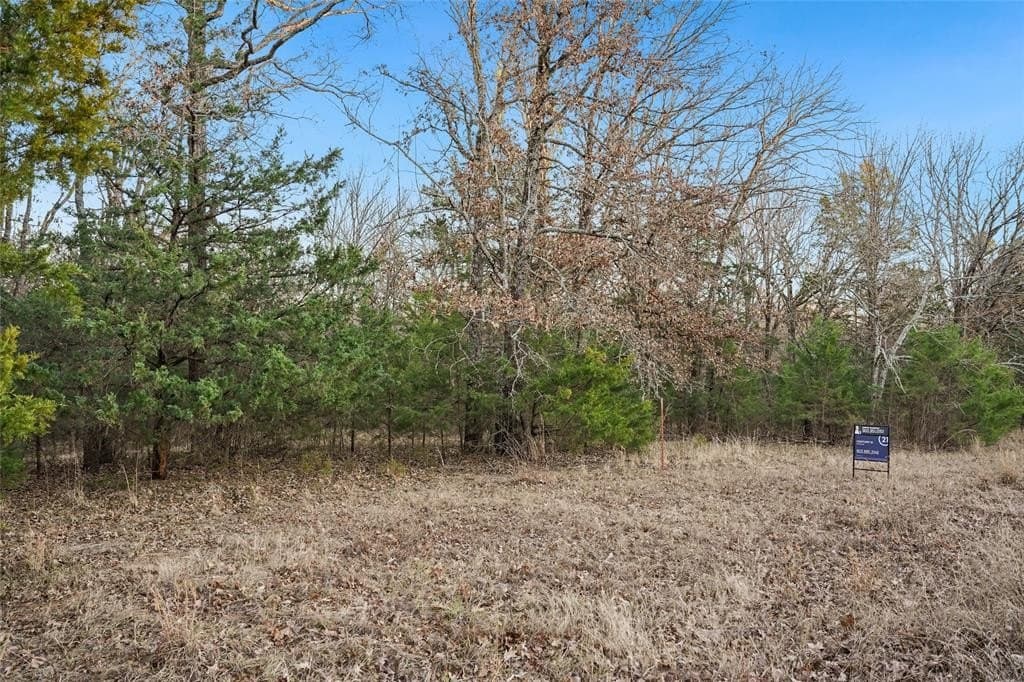 0.71 acres in Rains County - photo 4