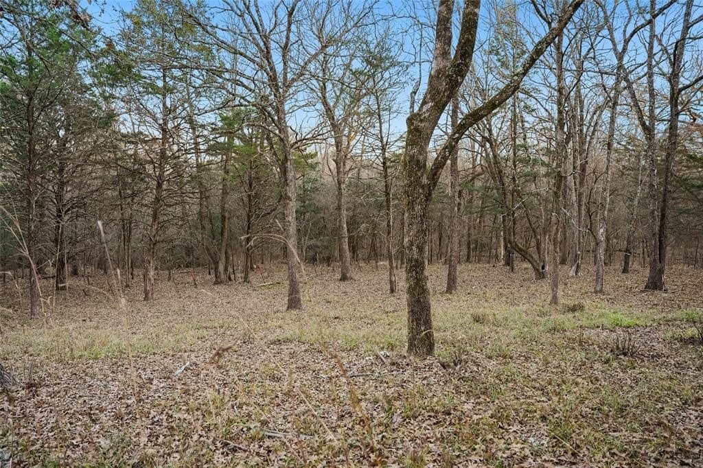 0.71 acres in Rains County - photo 7