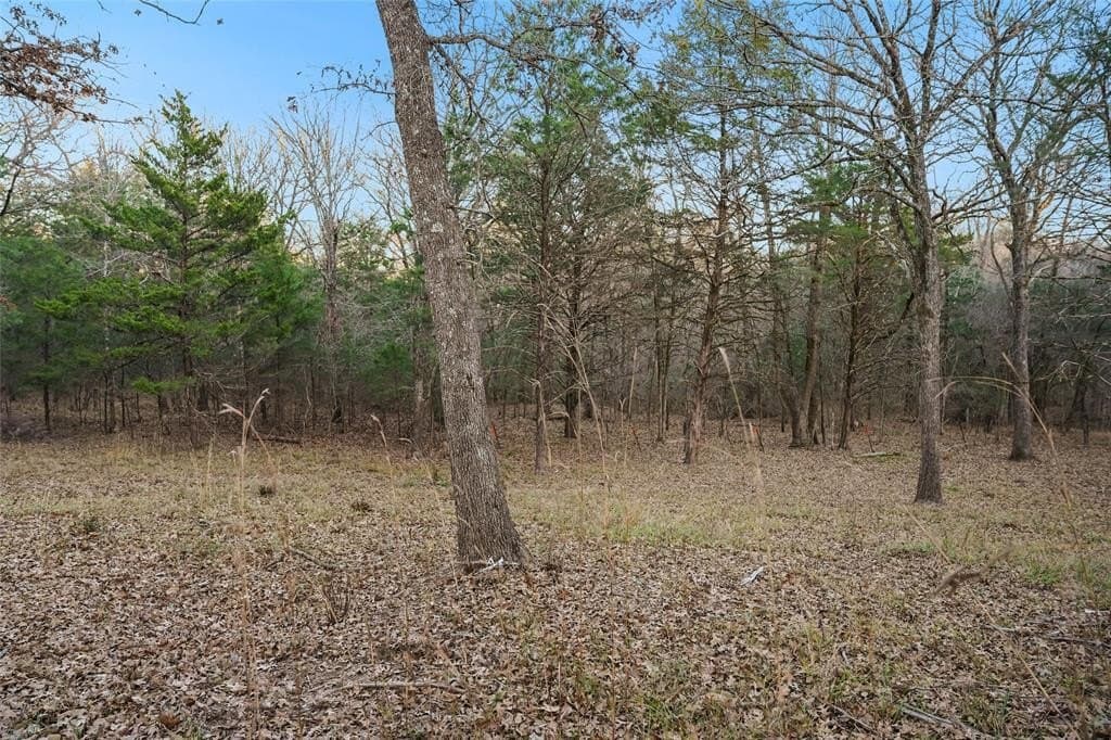 0.71 acres in Rains County - photo 2