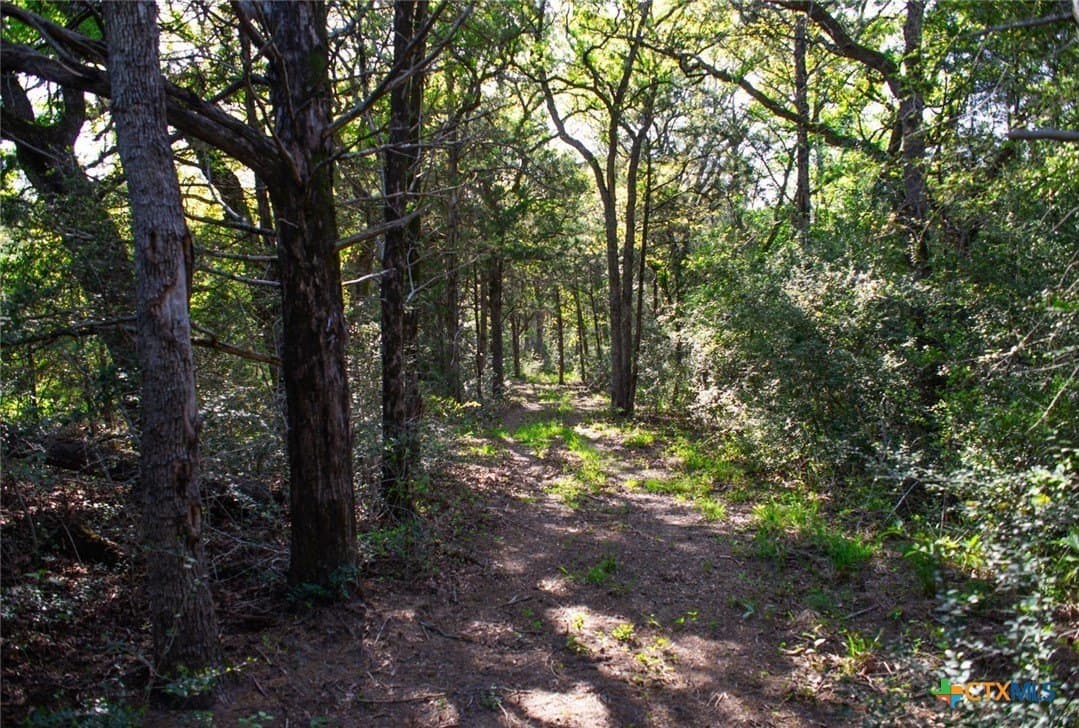 77.21 acres in Bastrop County - photo 37
