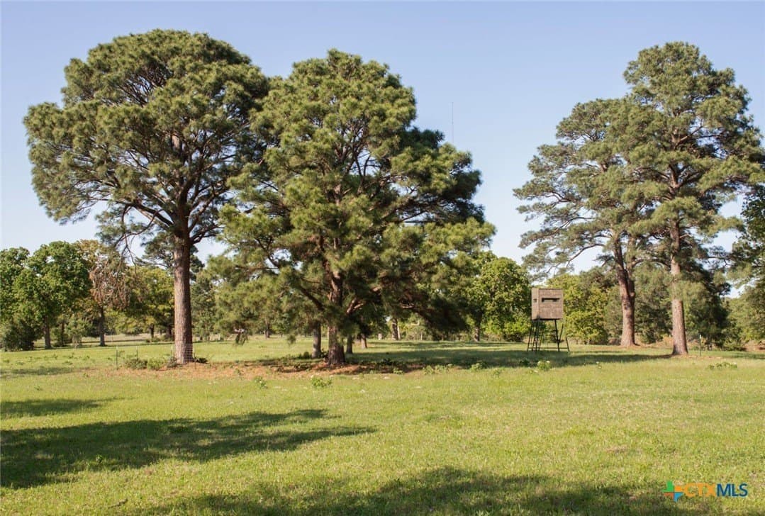 77.21 acres in Bastrop County - photo 7