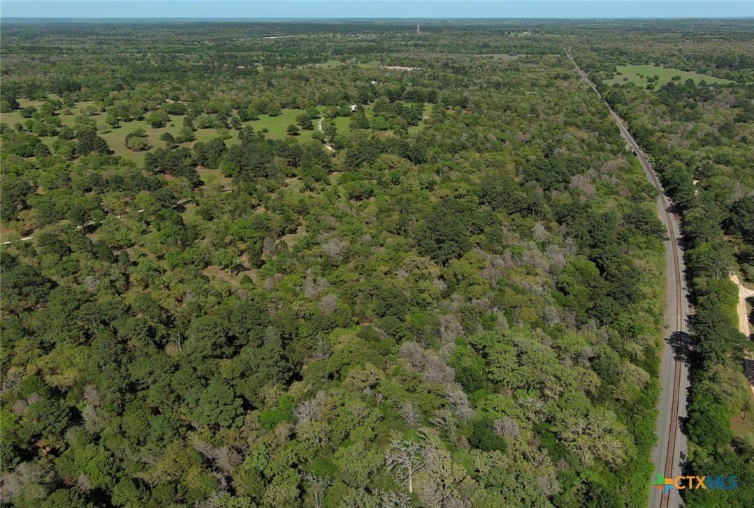 77.21 acres in Bastrop County - photo 5