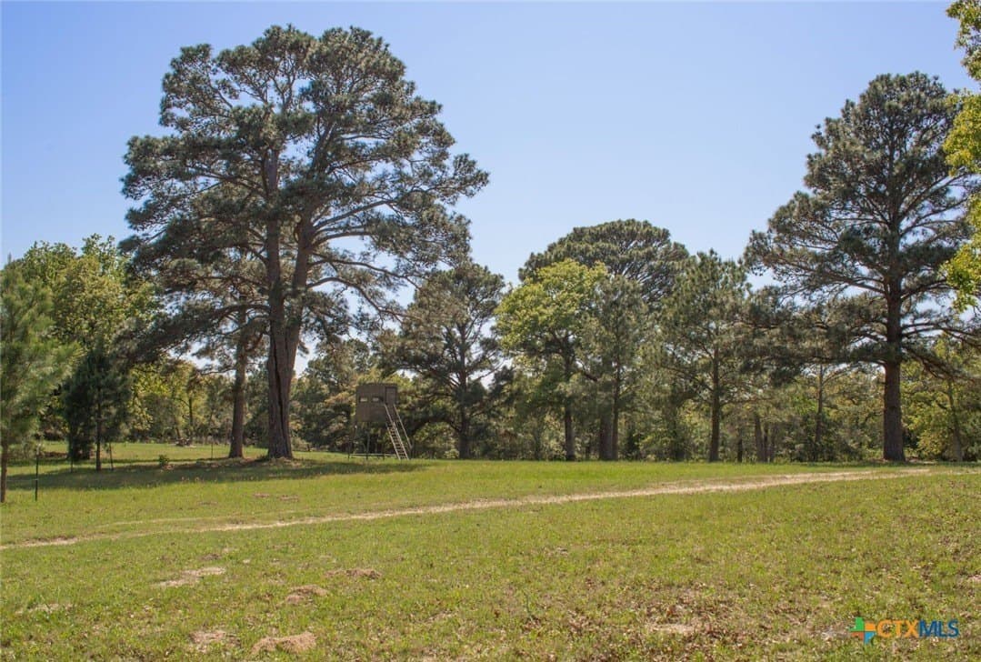 77.21 acres in Bastrop County - photo 32