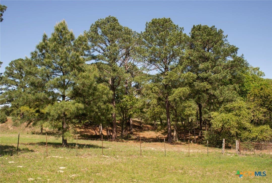 77.21 acres in Bastrop County - photo 25