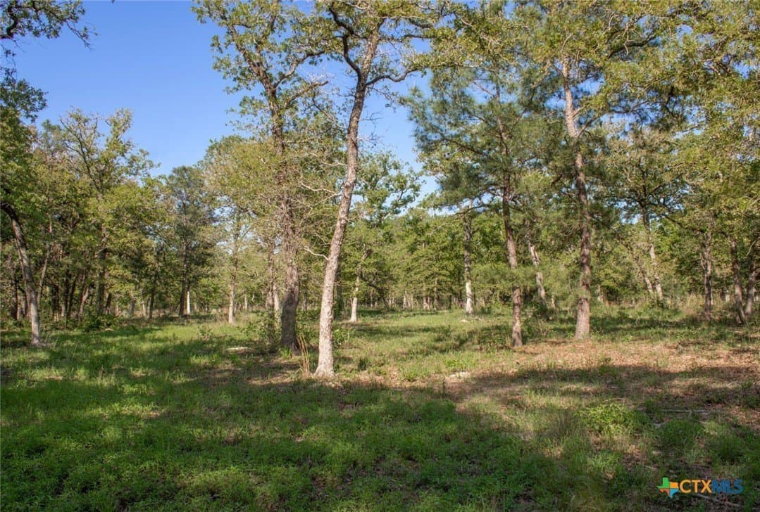 77.21 acres in Bastrop County - photo 38