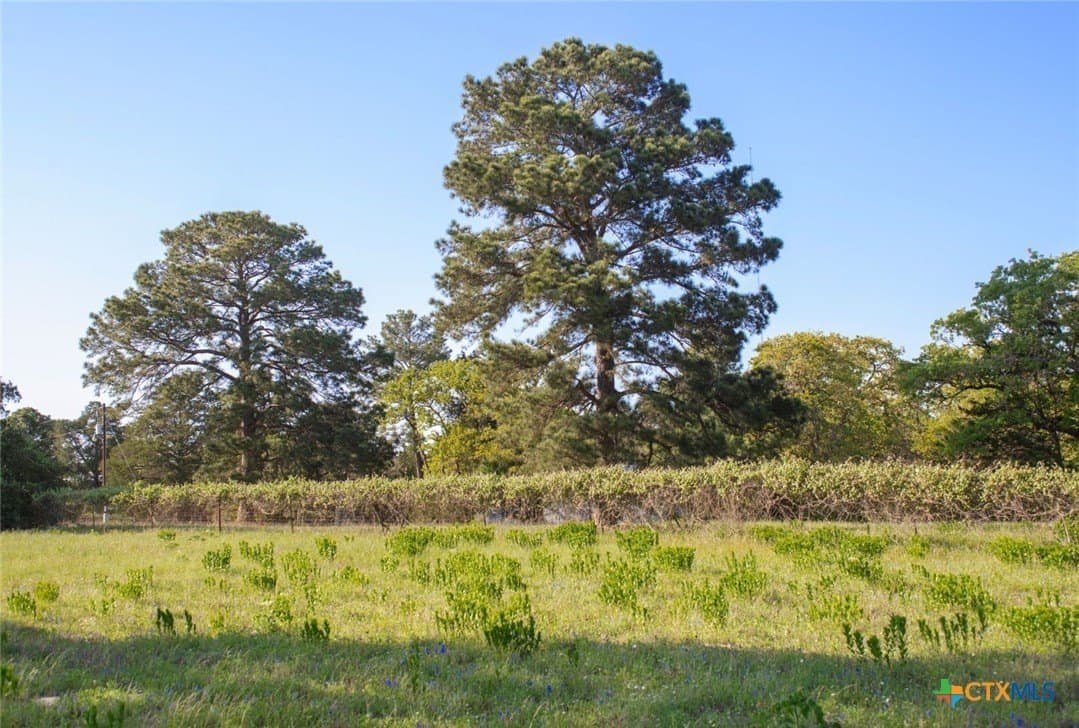 77.21 acres in Bastrop County - photo 26