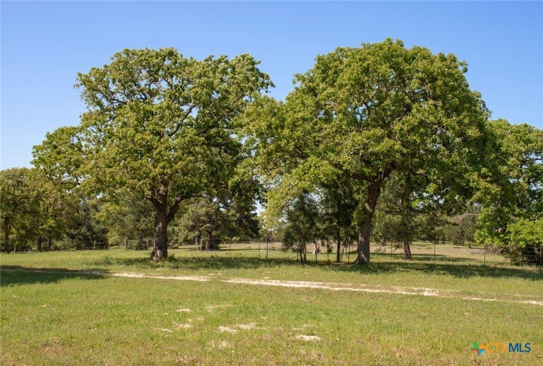 77.21 acres in Bastrop County - photo 13