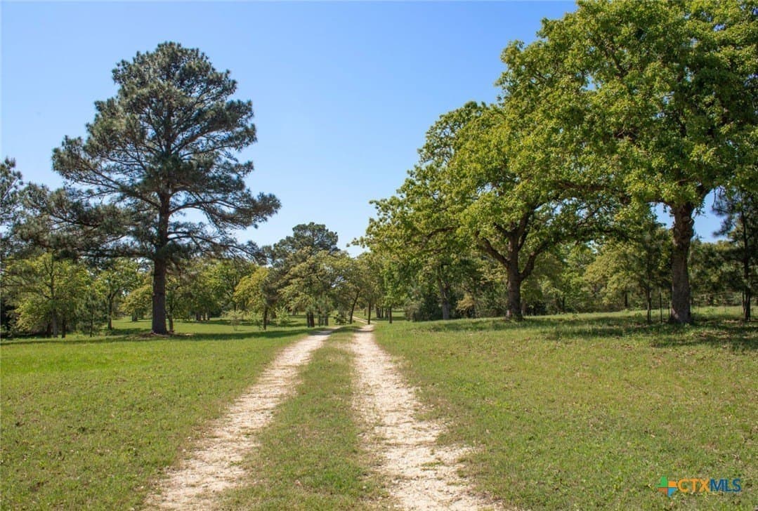77.21 acres in Bastrop County - photo 6