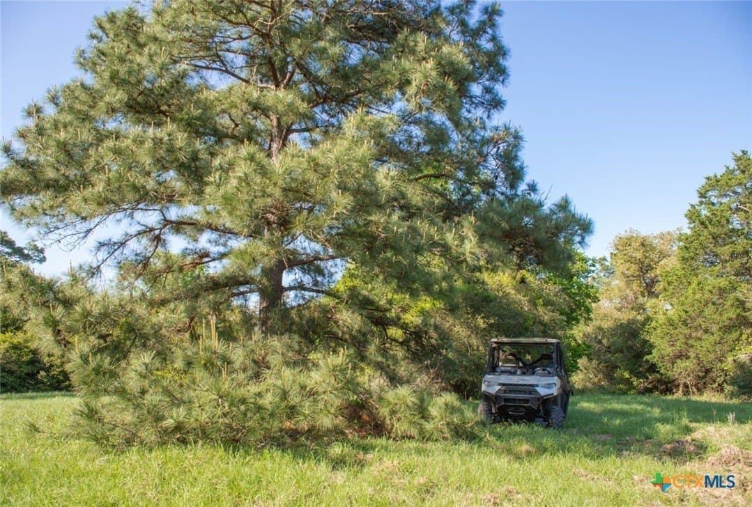 77.21 acres in Bastrop County - photo 31