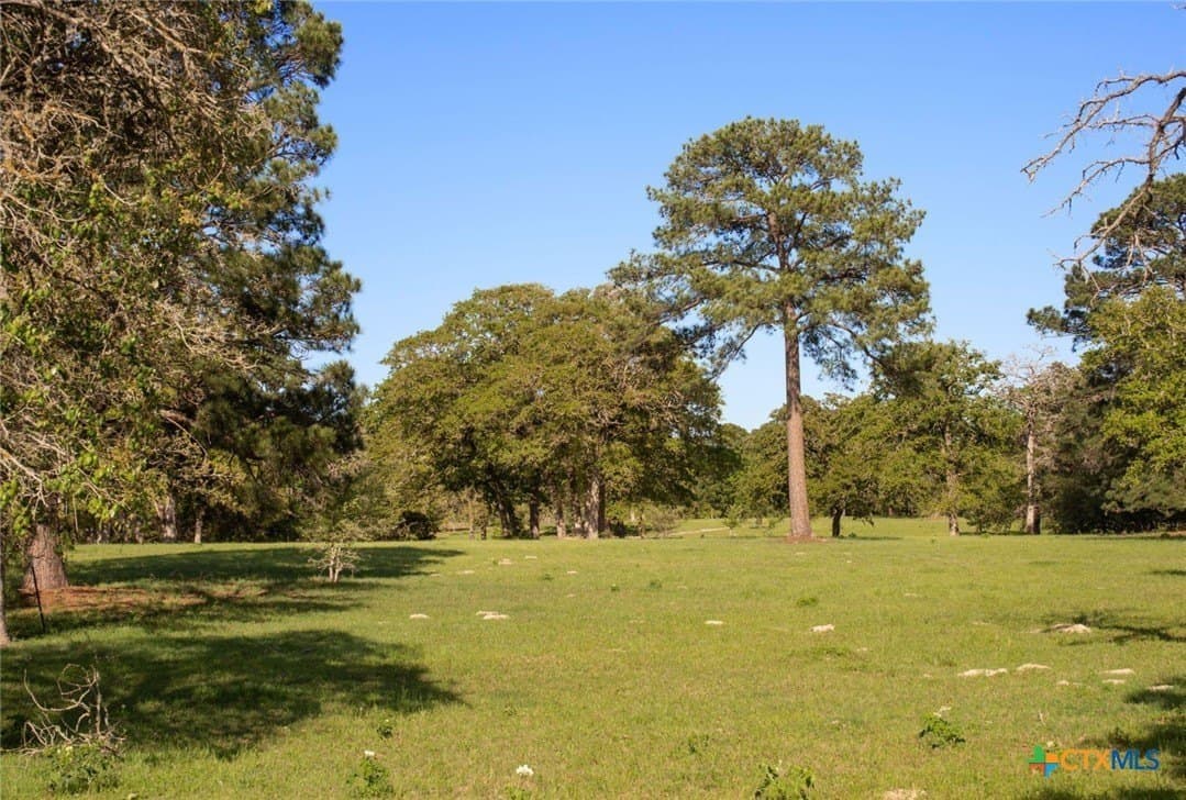 77.21 acres in Bastrop County - photo 27