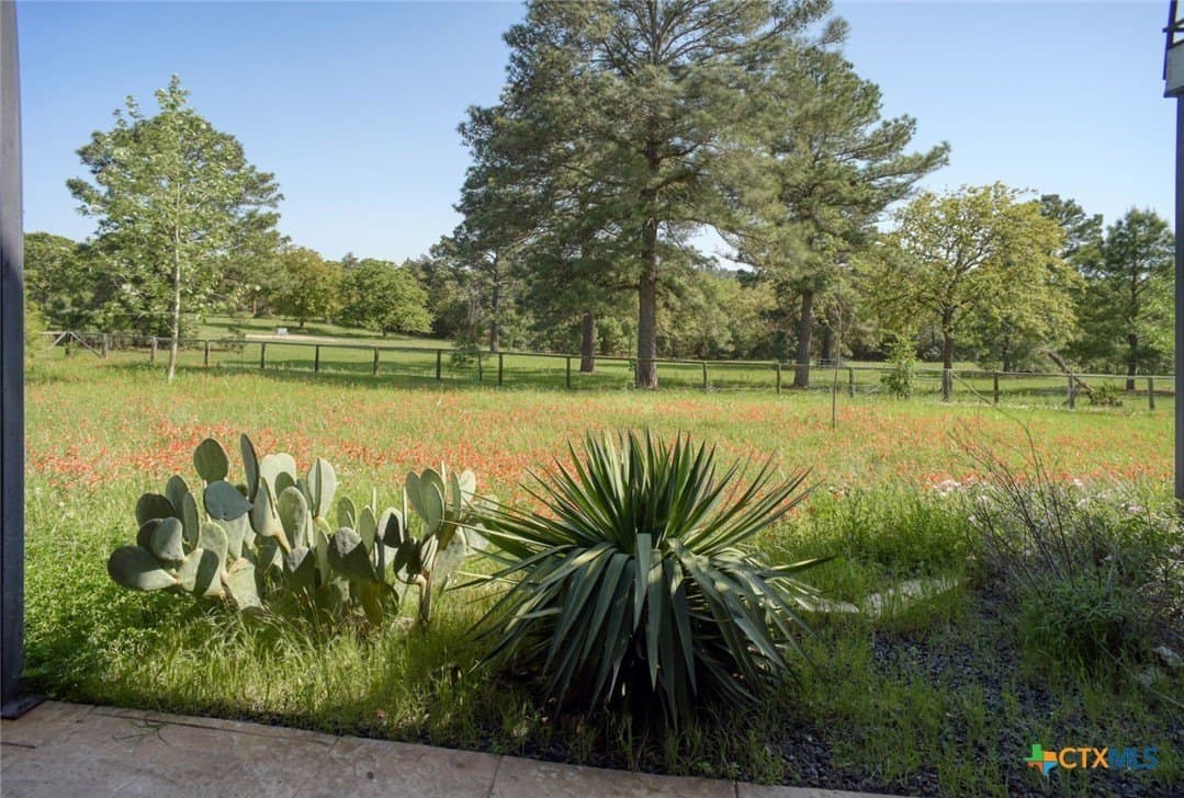 77.21 acres in Bastrop County - photo 23