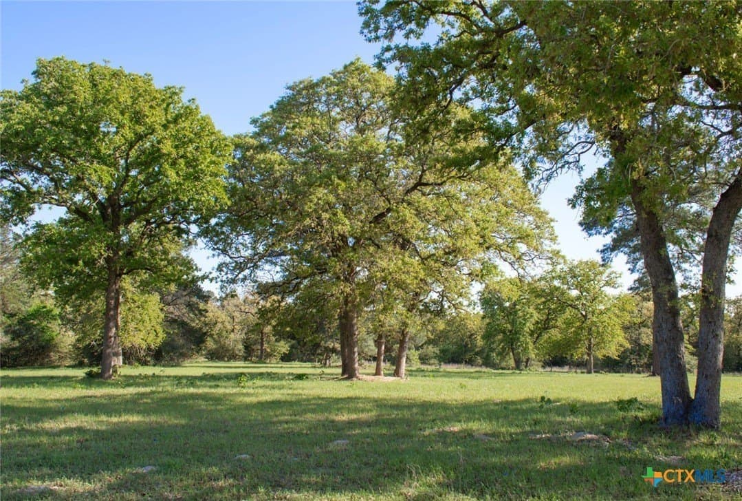 77.21 acres in Bastrop County - photo 12