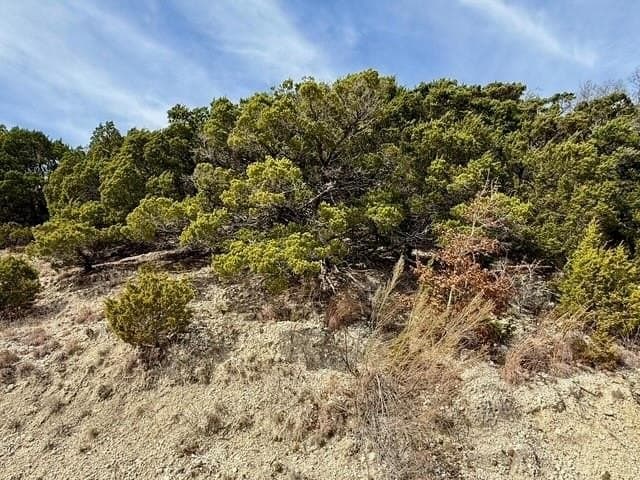 10.01 acres in Hamilton County - photo 7