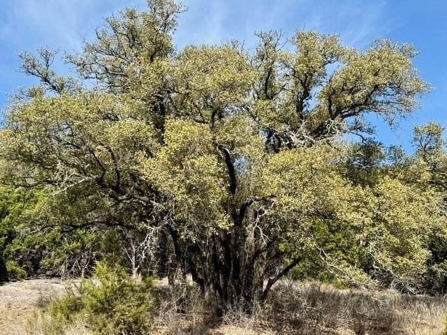 10.01 acres in Hamilton County - photo 10