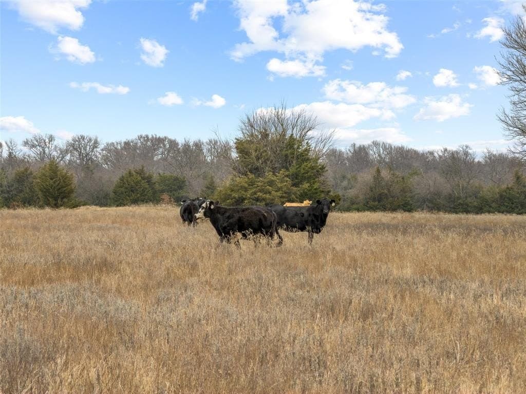 39.91 acres in Fannin County - photo 13