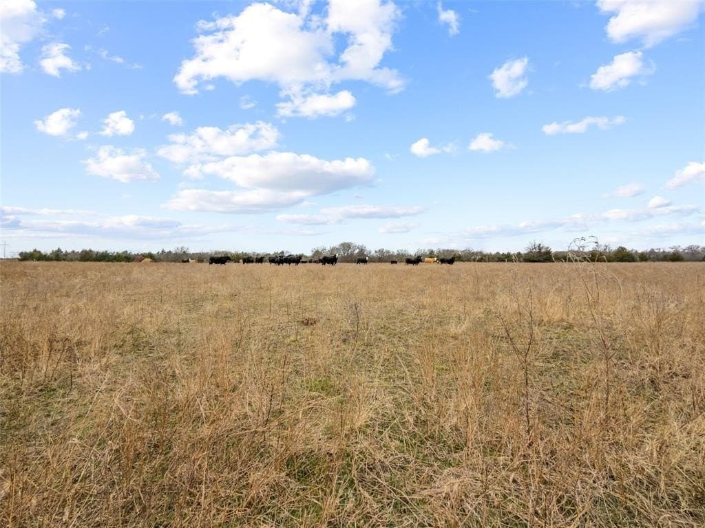 39.91 acres in Fannin County - photo 8