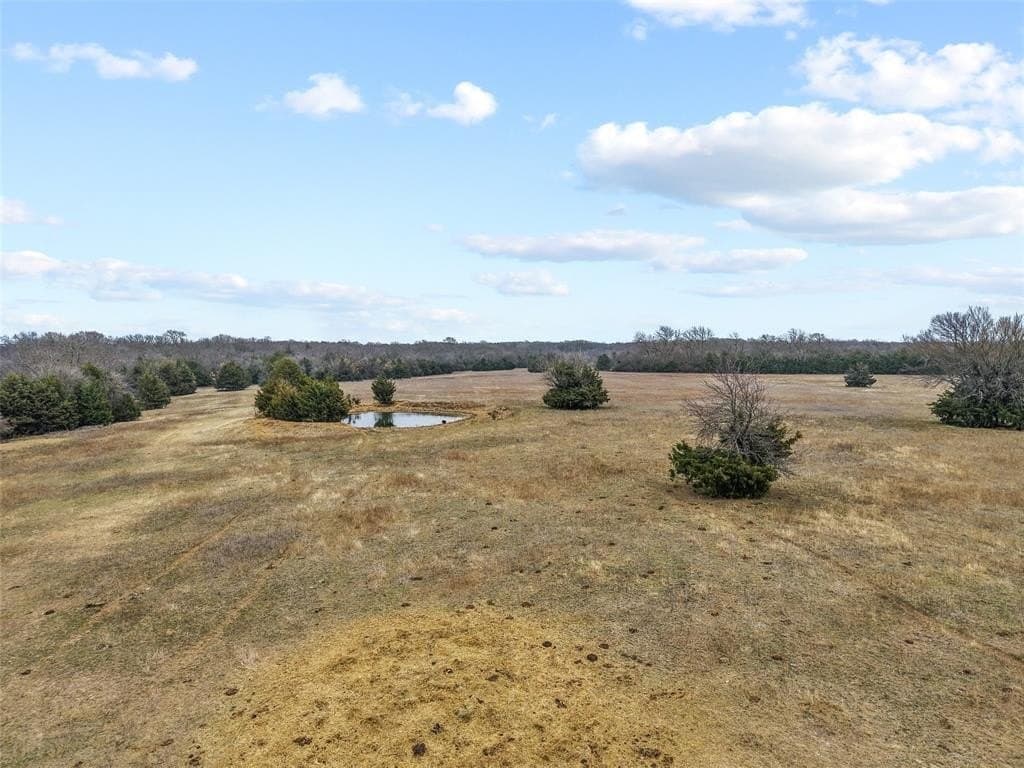 39.91 acres in Fannin County - photo 7