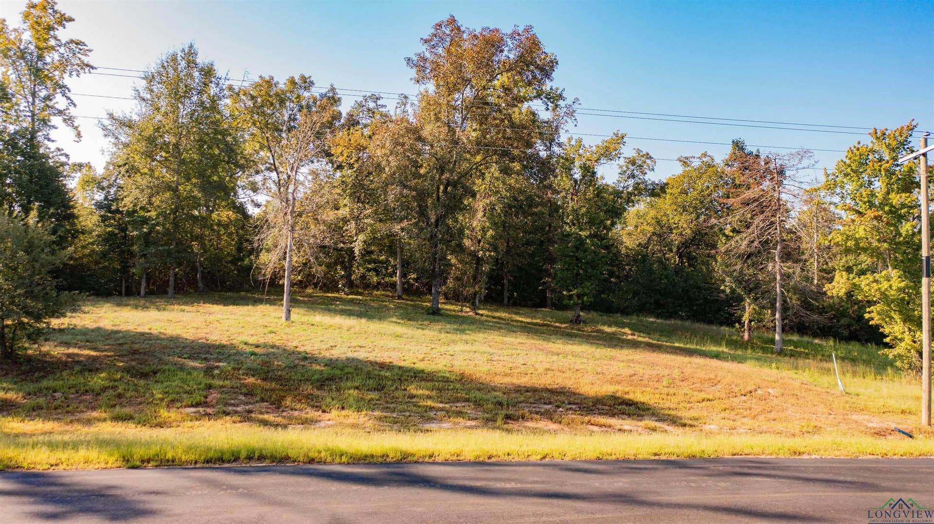 1.02 acres in Texas County - photo 2