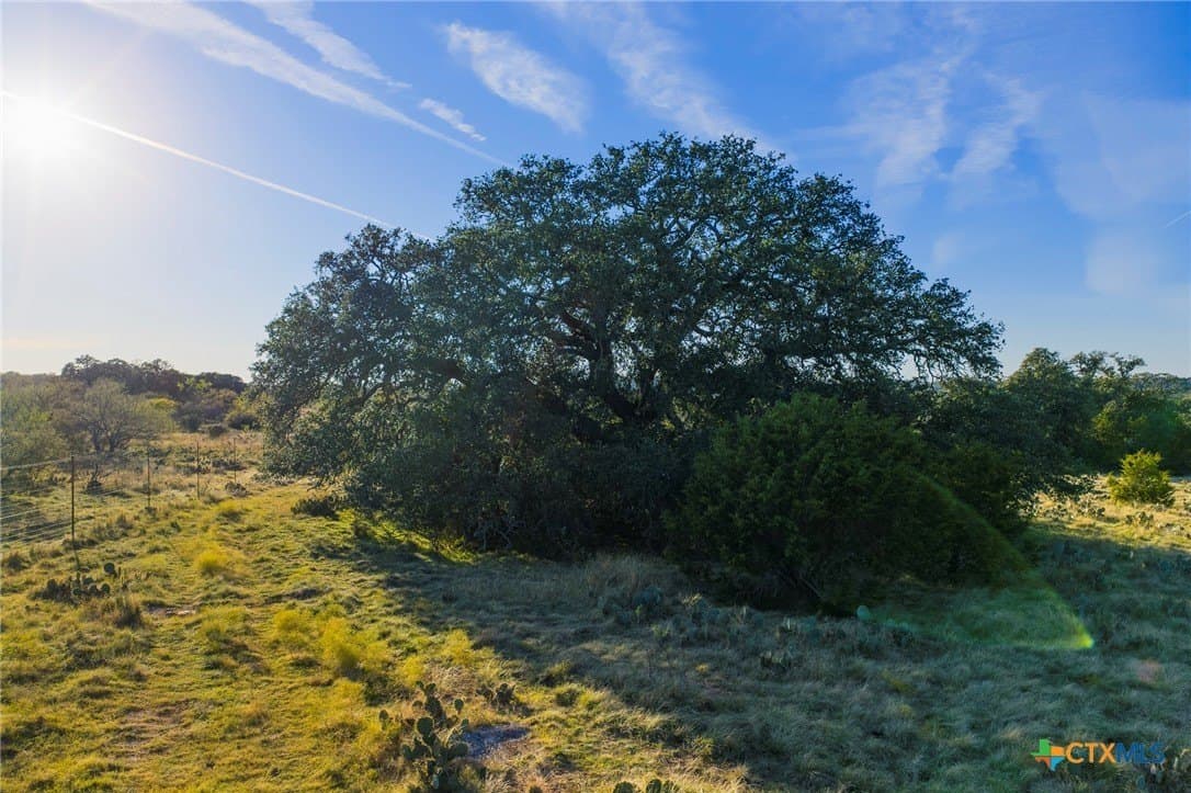 392.3 acres in Burnet County - photo 22