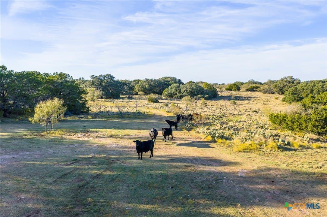 392.3 acres in Burnet County - photo 12