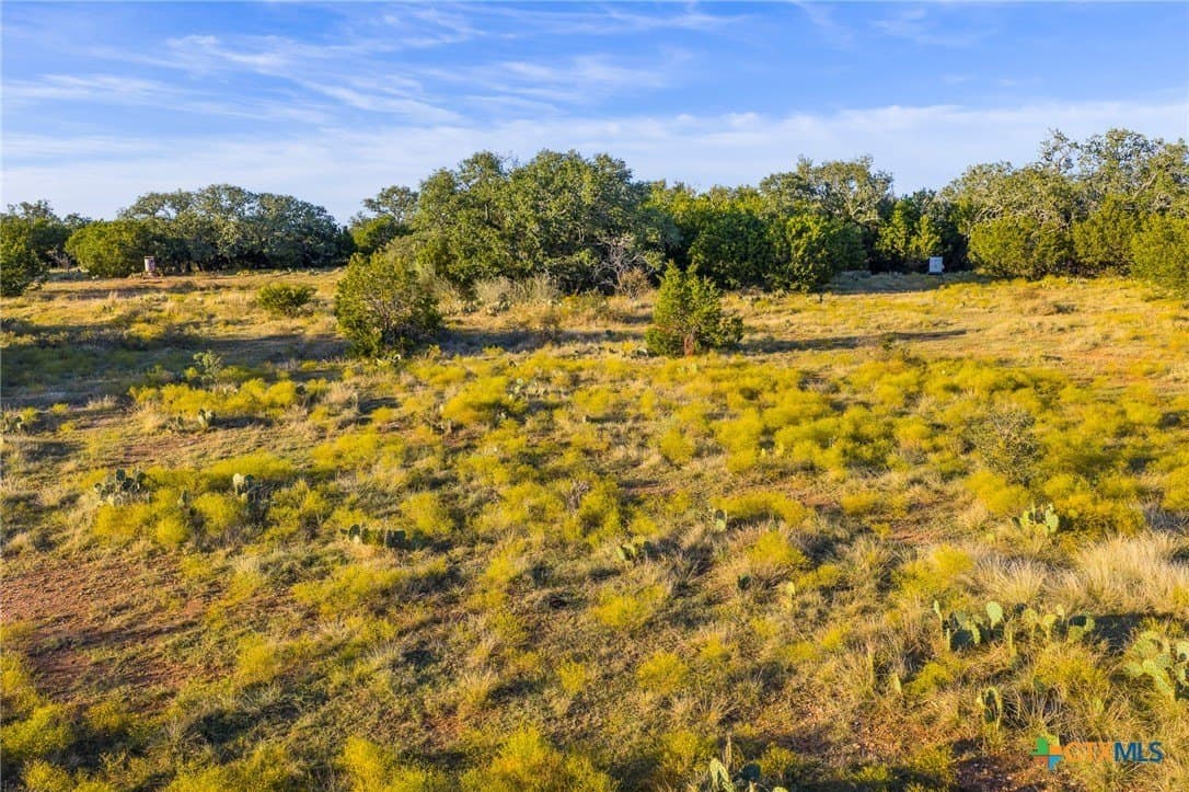 392.3 acres in Burnet County - photo 10
