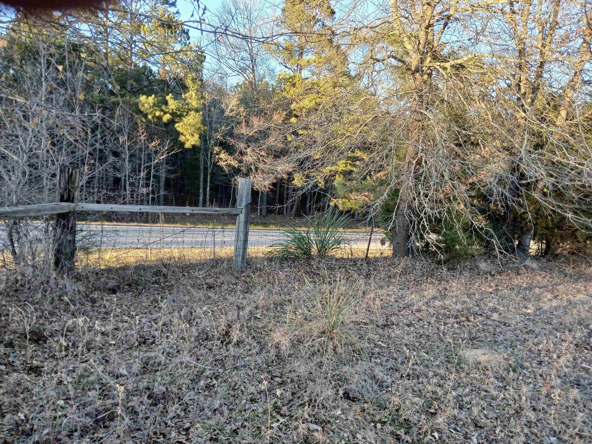 2 acres in Harrison County - photo 3