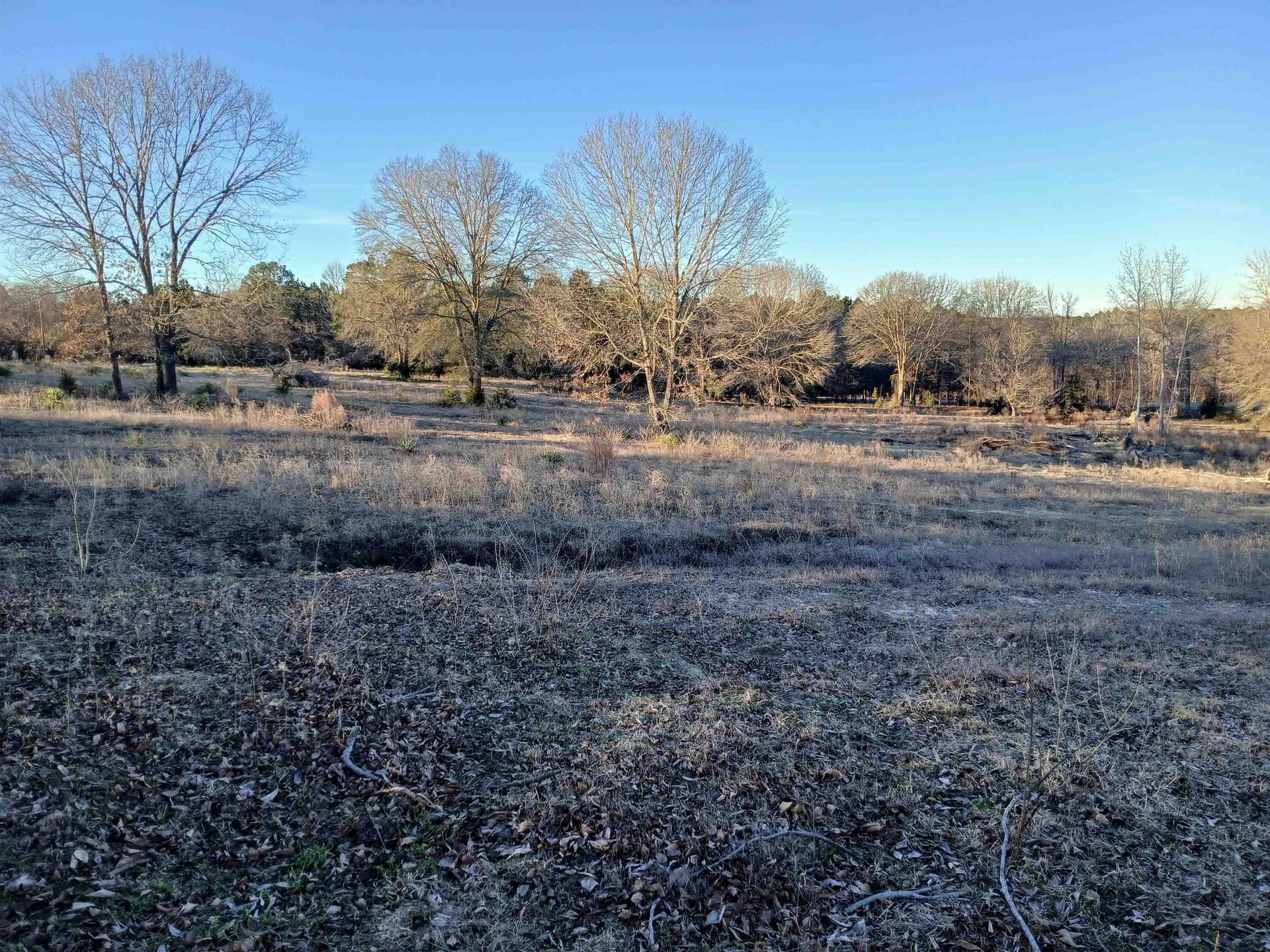 2 acres in Harrison County - photo 6