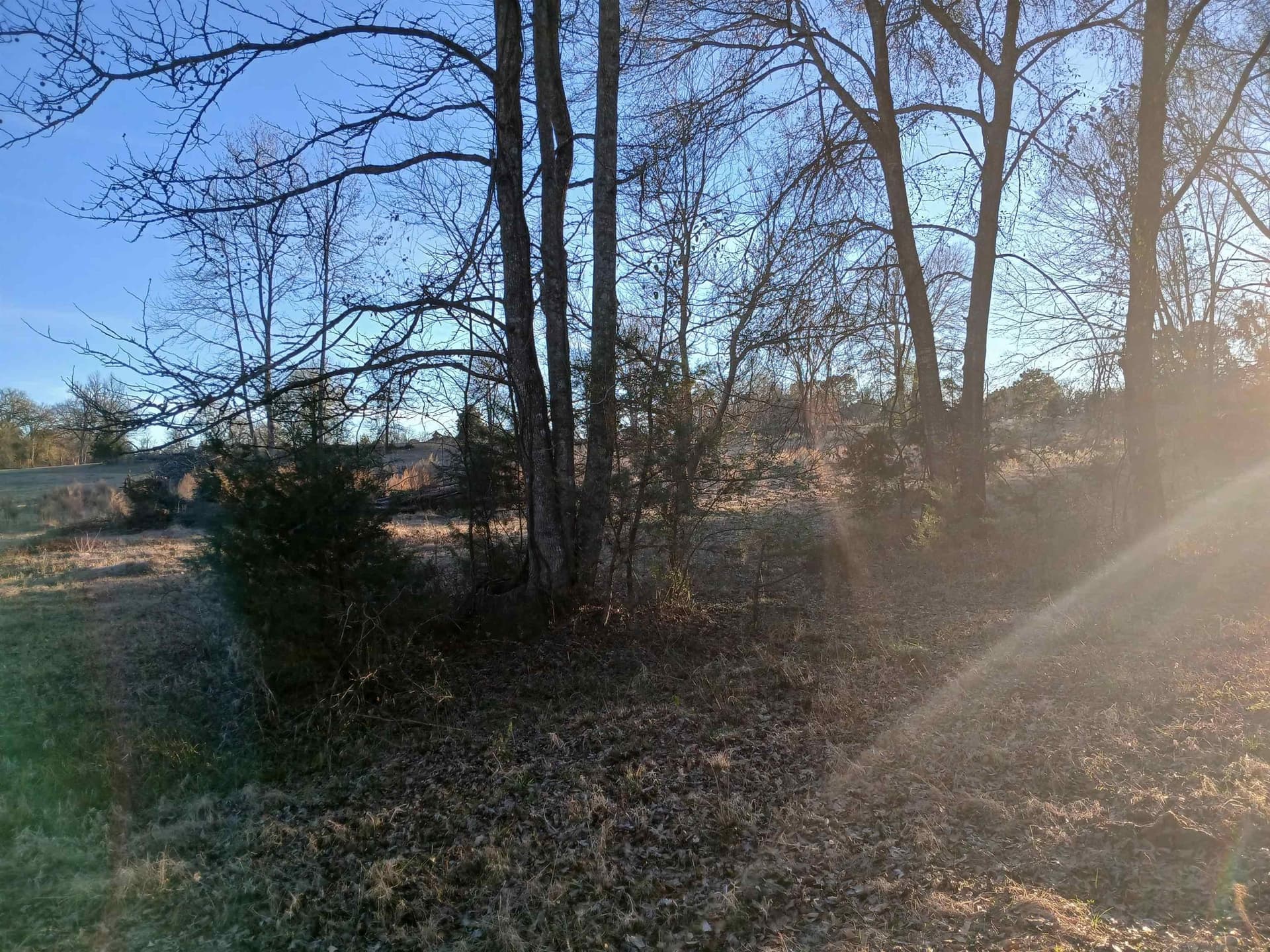 2 acres in Harrison County - photo 7