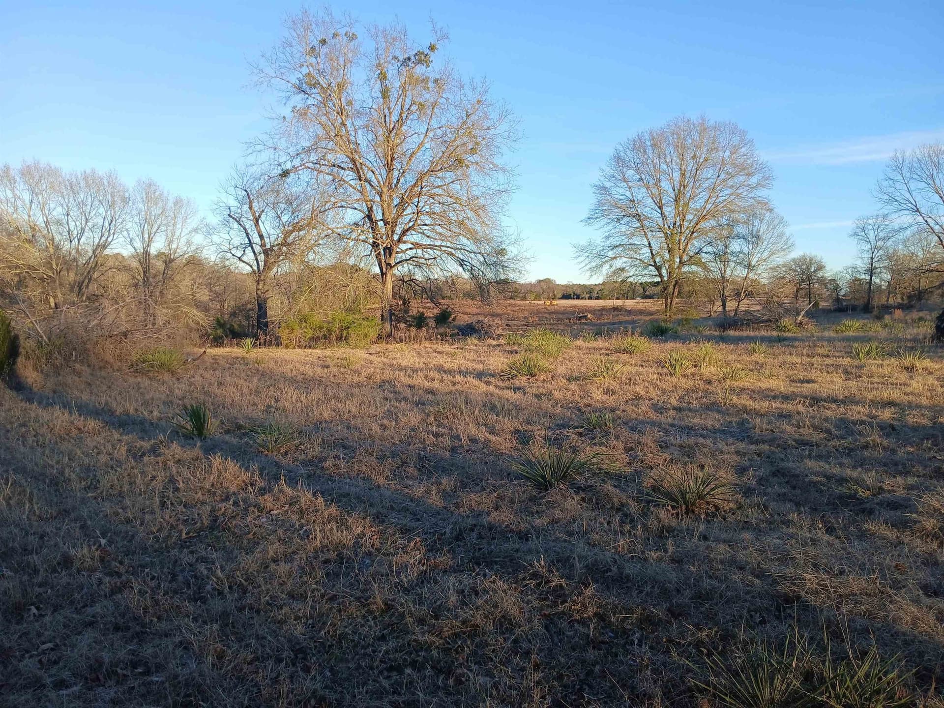 2 acres in Harrison County - photo 9