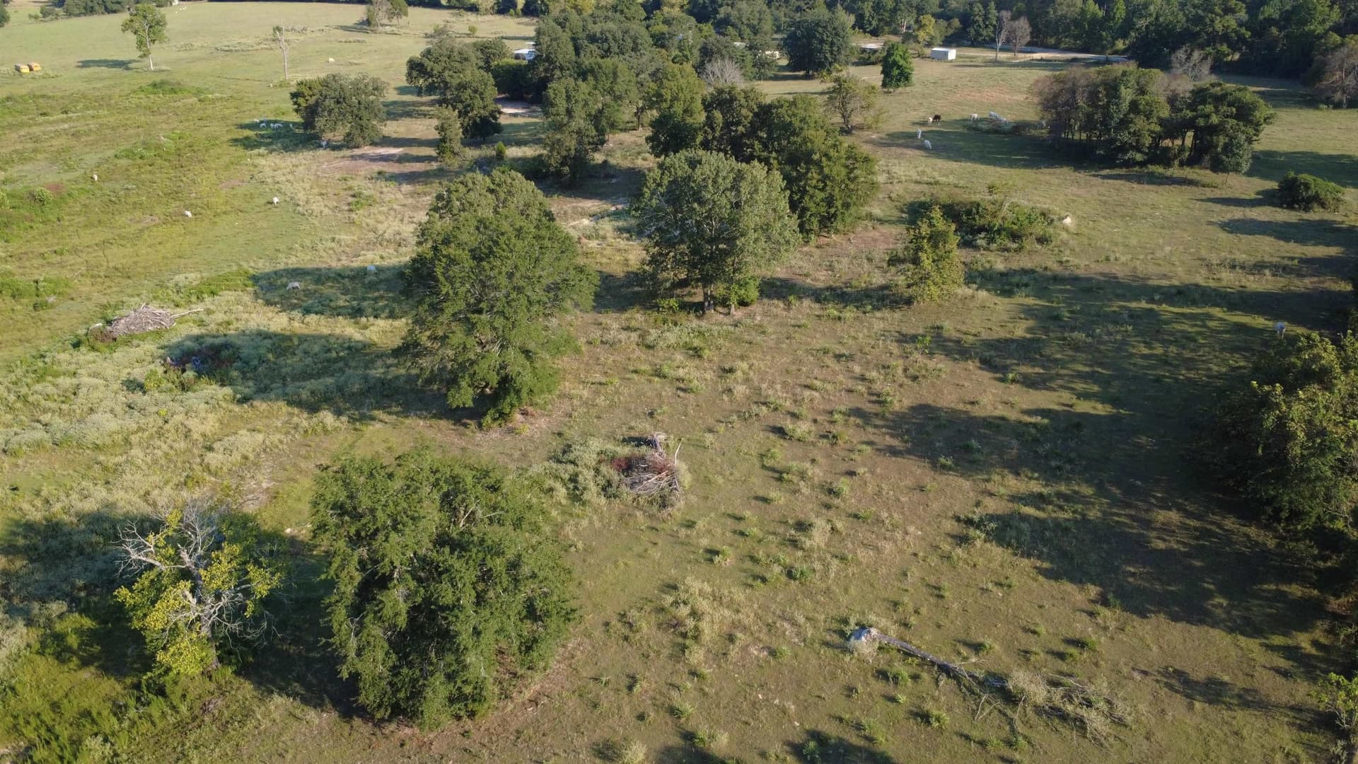 2 acres in Harrison County - photo 10