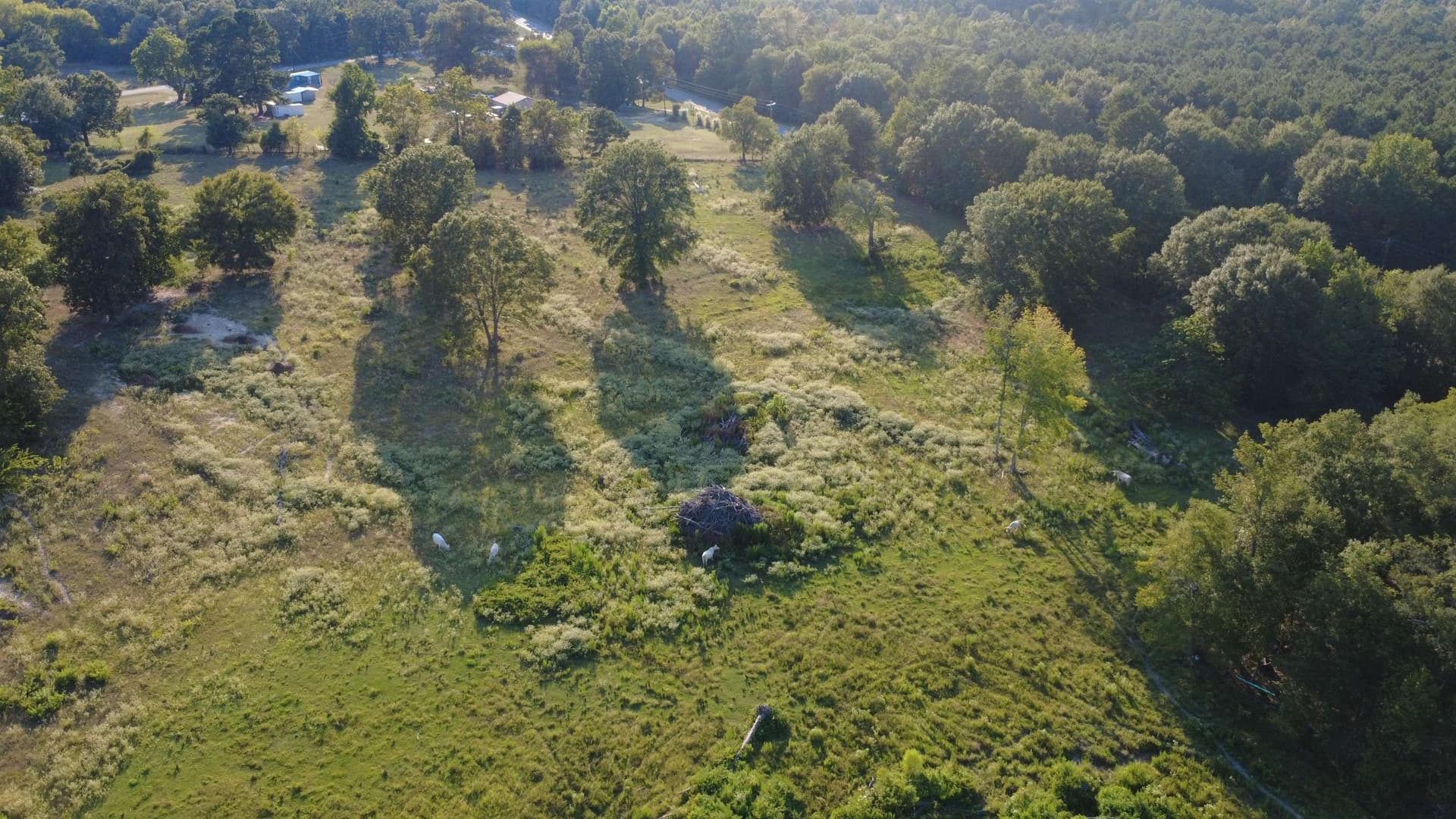 2 acres in Harrison County - photo 11