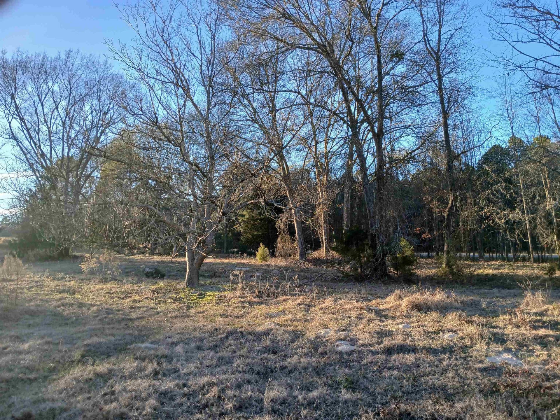 2 acres in Harrison County - photo 5