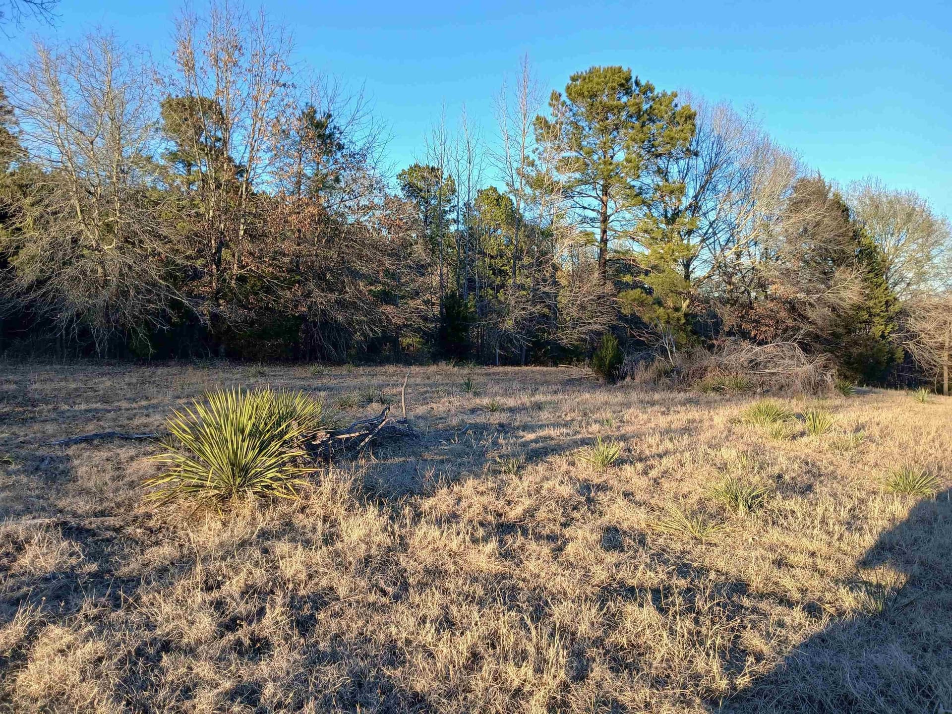 2 acres in Harrison County - photo 4