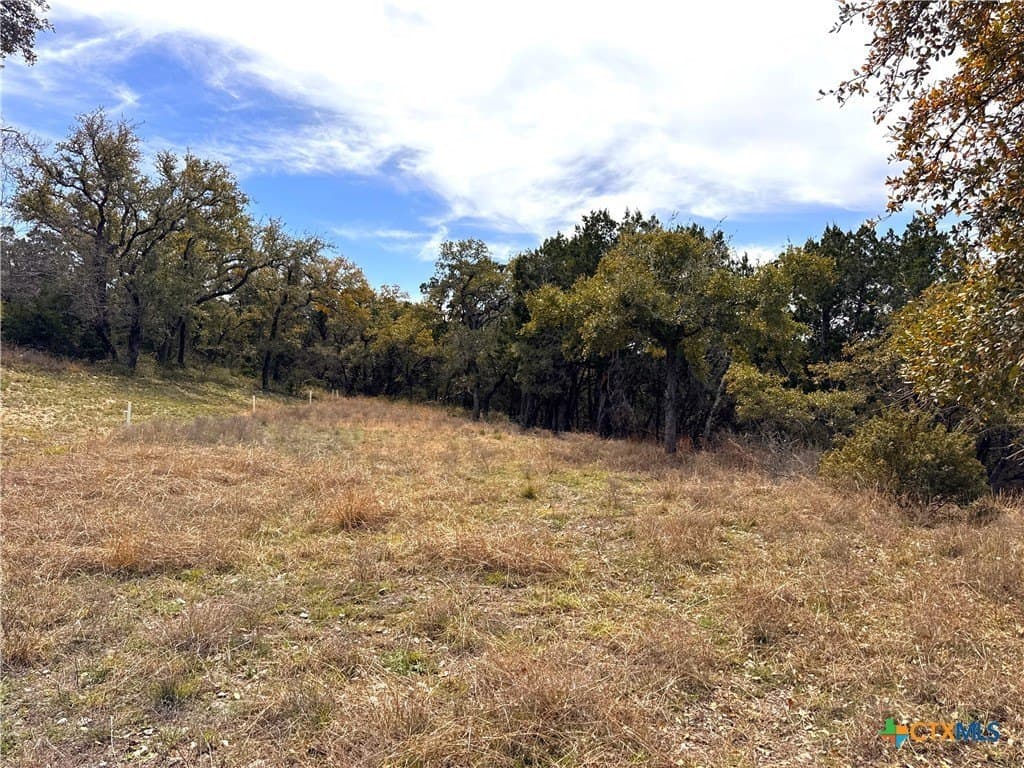 2.2 acres in Comal County - photo 8