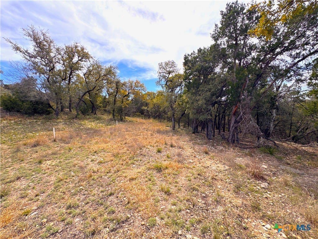 2.2 acres in Comal County - photo 6